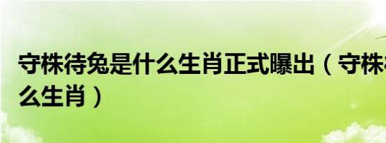 守株待兔是什么生肖正式曝出（守株待兔是什么生肖）