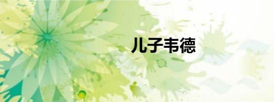 儿子韦德