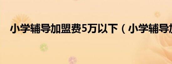 小学辅导加盟费5万以下（小学辅导加盟）
