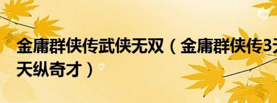金庸群侠传武侠无双（金庸群侠传3无敌版之天纵奇才）