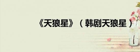 《天狼星》（韩剧天狼星）