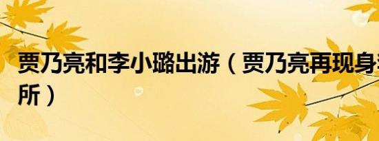 贾乃亮和李小璐出游（贾乃亮再现身李小璐住所）