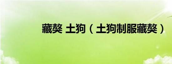 藏獒 土狗（土狗制服藏獒）