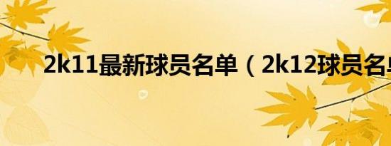 2k11最新球员名单（2k12球员名单）
