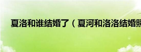 夏洛和谁结婚了（夏河和洛洛结婚照片）