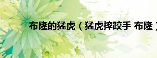 布隆的猛虎（猛虎摔跤手 布隆）