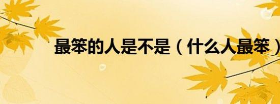 最笨的人是不是（什么人最笨）