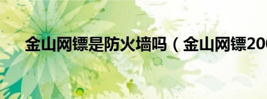 金山网镖是防火墙吗（金山网镖2009）