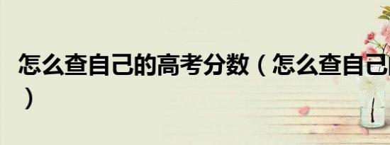 怎么查自己的高考分数（怎么查自己的高考分）