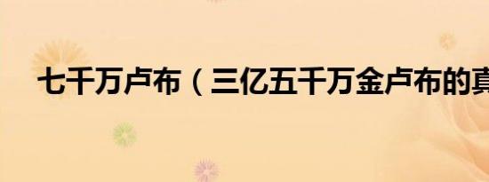 七千万卢布（三亿五千万金卢布的真相）