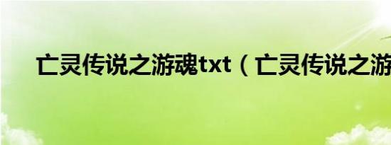 亡灵传说之游魂txt（亡灵传说之游魂）