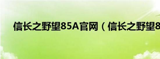 信长之野望85A官网（信长之野望85a）