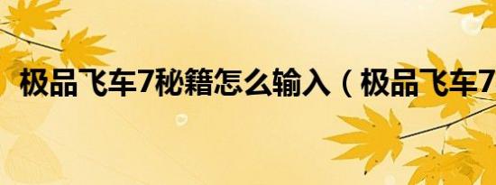极品飞车7秘籍怎么输入（极品飞车7秘籍）