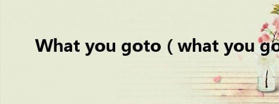 What you goto（what you got）
