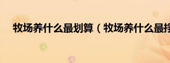 牧场养什么最划算（牧场养什么最挣钱）