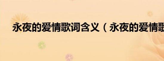 永夜的爱情歌词含义（永夜的爱情歌词）
