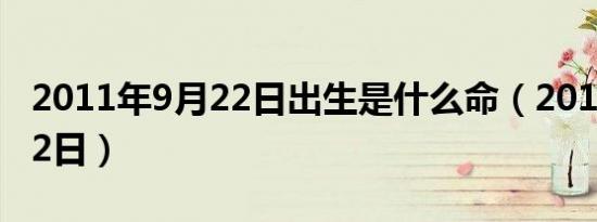 张含韶简介（张含韶）