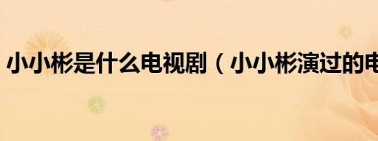 小小彬是什么电视剧（小小彬演过的电视剧）