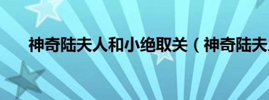 神奇陆夫人和小绝取关（神奇陆夫人）