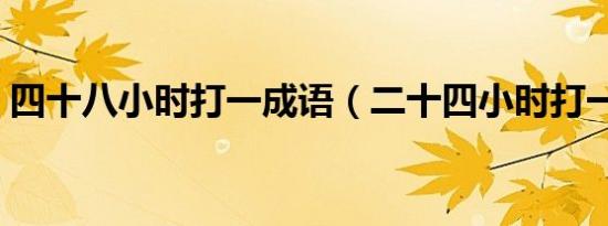 四十八小时打一成语（二十四小时打一成语）