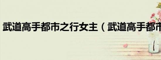武道高手都市之行女主（武道高手都市之行）