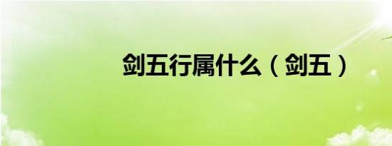 剑五行属什么（剑五）