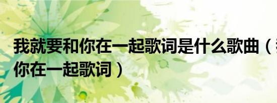 我就要和你在一起歌词是什么歌曲（我就要和你在一起歌词）