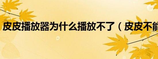 皮皮播放器为什么播放不了（皮皮不能播放）