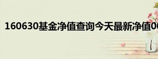 160630基金净值查询今天最新净值001113