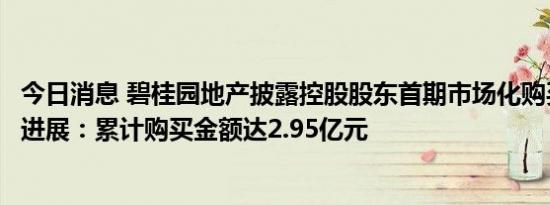 今日消息 碧桂园地产披露控股股东首期市场化购买公司债券进展：累计购买金额达2.95亿元