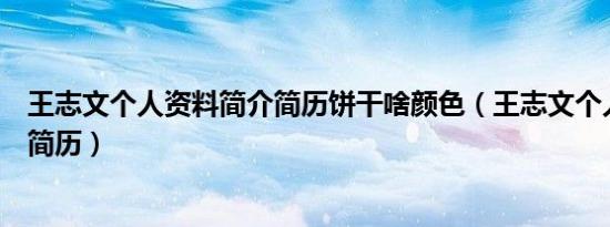 王志文个人资料简介简历饼干啥颜色（王志文个人资料简介简历）