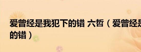 爱曾经是我犯下的错 六哲（爱曾经是我犯下的错）