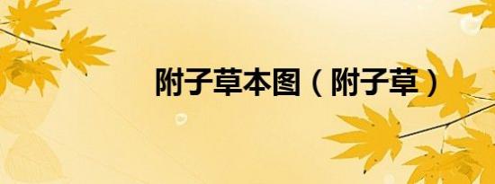 附子草本图（附子草）
