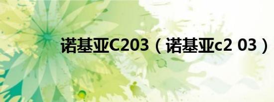 诺基亚C203（诺基亚c2 03）
