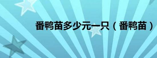 番鸭苗多少元一只（番鸭苗）
