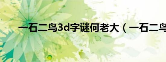 一石二鸟3d字谜何老大（一石二鸟3）