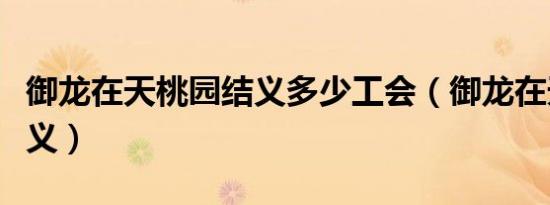 御龙在天桃园结义多少工会（御龙在天桃园结义）