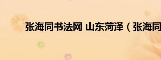 张海同书法网 山东菏泽（张海同）