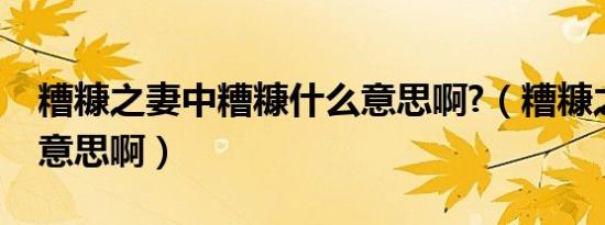 糟糠之妻中糟糠什么意思啊?（糟糠之妻什么意思啊）