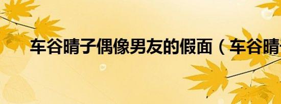 车谷晴子偶像男友的假面（车谷晴子）
