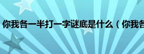 你我各一半打一字谜底是什么（你我各一半）