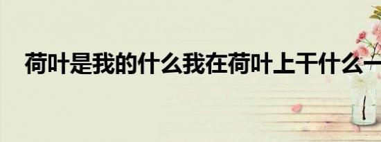 荷叶是我的什么我在荷叶上干什么一年级