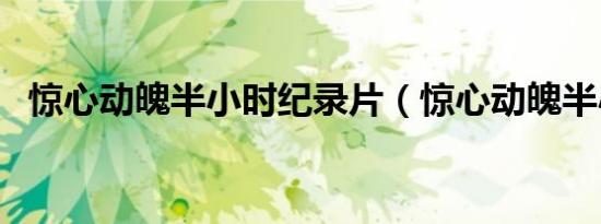 惊心动魄半小时纪录片（惊心动魄半小时）