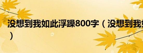 没想到我如此浮躁800字（没想到我如此浮躁）