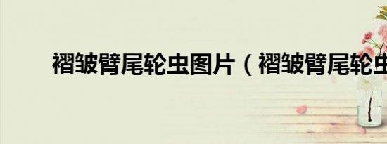 5打5格斗（格斗小五在哪抓）