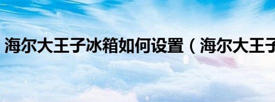 海尔大王子冰箱如何设置（海尔大王子冰箱）