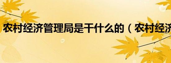 农村经济管理局是干什么的（农村经济管理）