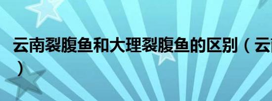 云南裂腹鱼和大理裂腹鱼的区别（云南裂腹鱼）