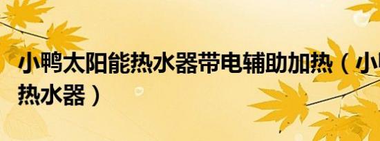小鸭太阳能热水器带电辅助加热（小鸭太阳能热水器）
