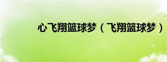 心飞翔篮球梦（飞翔篮球梦）